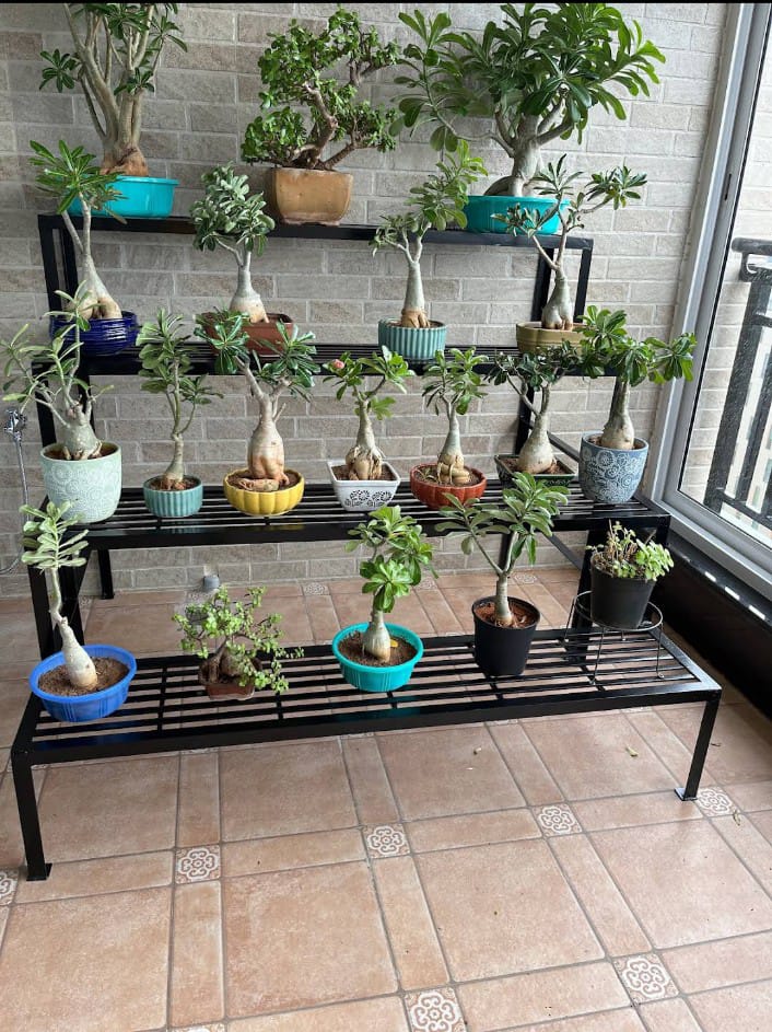 BALCONY GRILLS WITH PIPES